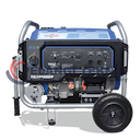 Genset 10 kva 1 phase bensin & Lpg Tsuzumi TG 10000DF - Pelangi Teknik