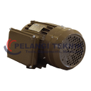 Dinamo Elektromotor FAW 2 HP 1 Phase Full Tembaga 100% - Pelangi Teknik